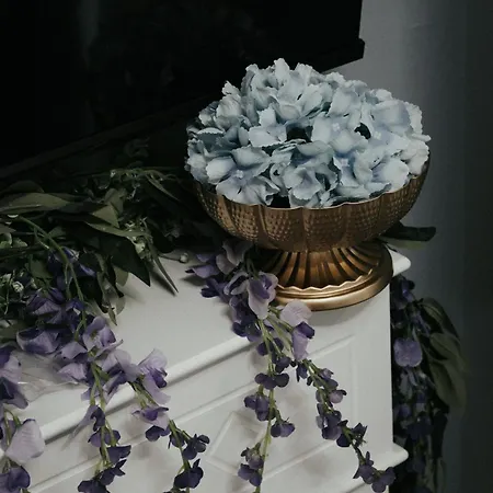 Loft - Lady Violet Bridgetown Balneo *